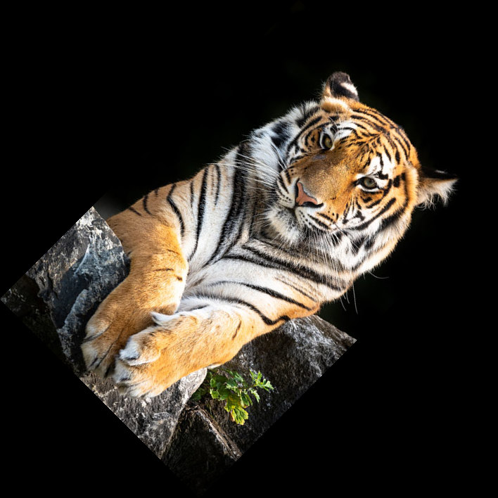 Image after manipulations