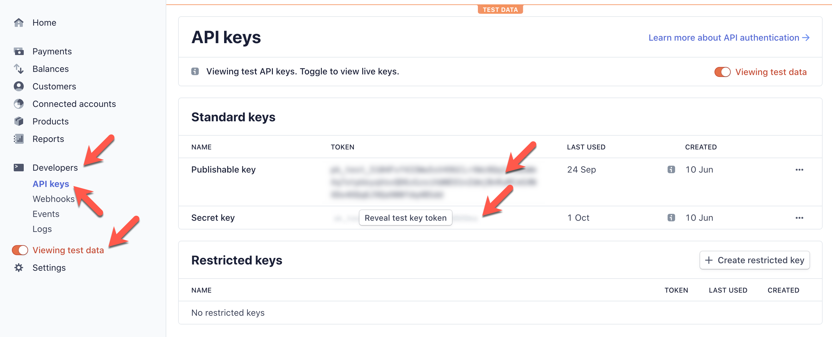 Stripe Test API Credentials